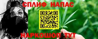 прущие грибы Керчь