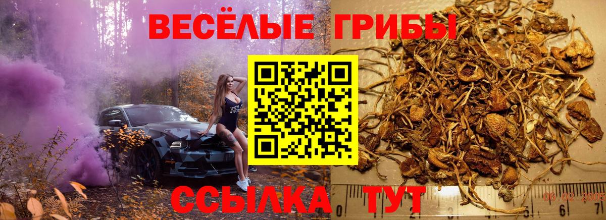 Галлюциногенные грибы мухоморы Майкоп