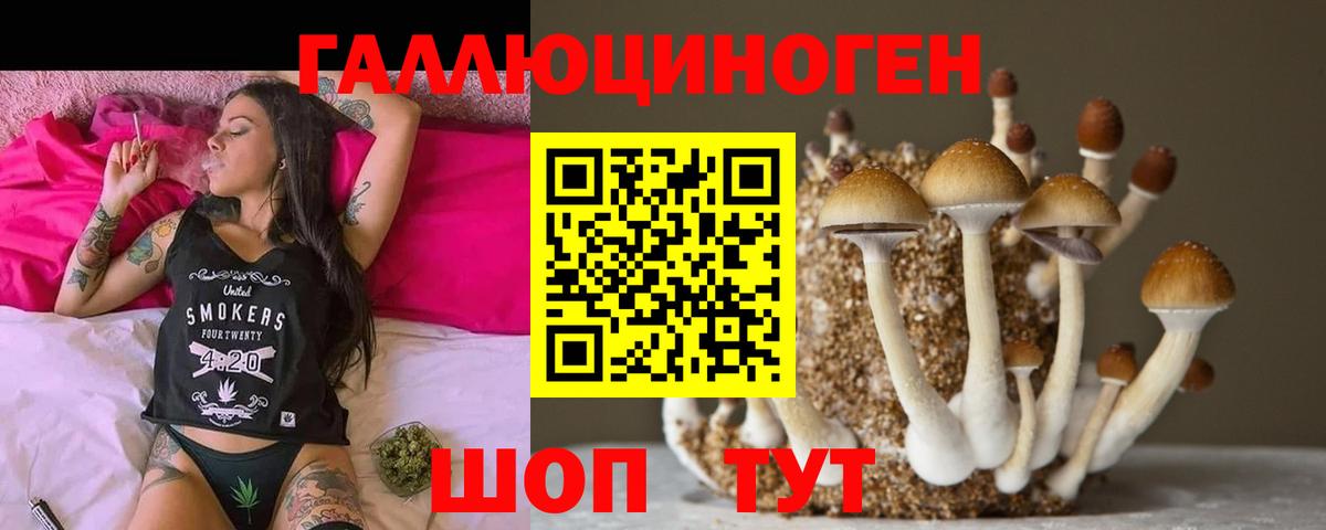 где можно купить наркотик  Вход с VPN  Майкоп  Галлюциногенные грибы Magic Shrooms 