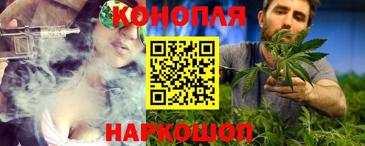 Шишки марихуана планчик Майкоп